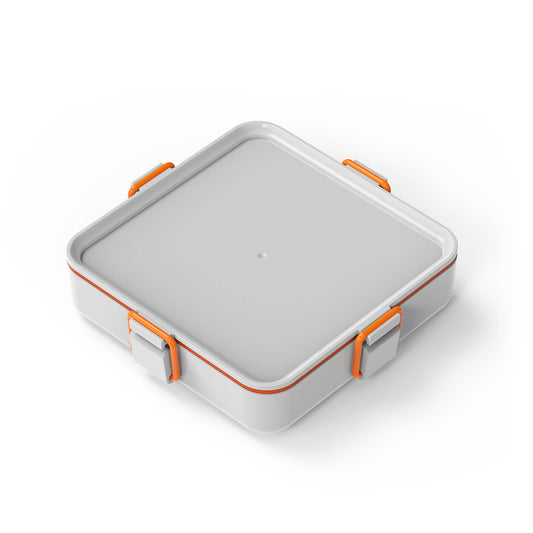 Standard Container